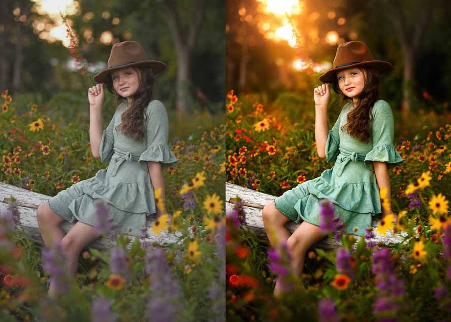 大师级GTG出品-老友记系列AI自适应预设The Friends Preset Collection-AK资源网