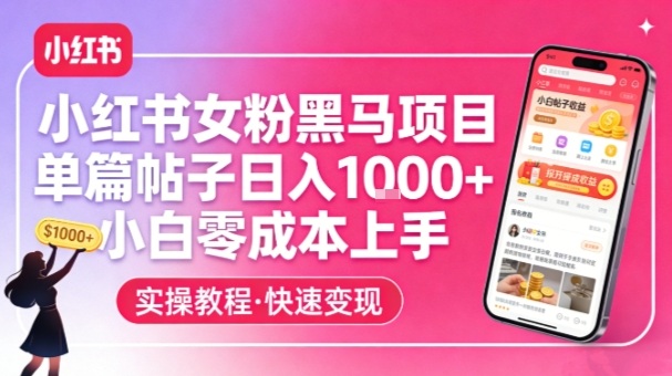 小红书女粉黑马项目，单篇帖子日入1k+，小白零成本上手-AK资源网